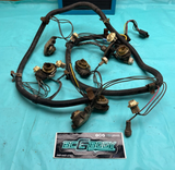 1978 Gbody Chevrolet Monte Carlo Rear Taillight Wiring Harness OEM Genuine GM