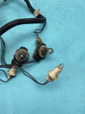 1984-1987 Gbody Buick Regal Taillight Lamp Wiring Harness OEM Genuine GM