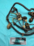 1978 Gbody Chevrolet Monte Carlo Rear Taillight Wiring Harness OEM Genuine GM