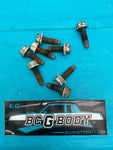 1978-1988 Monte Regal Cutlass Door Hinge Bolt Hardware Kit Gbody OEM Genuine GM