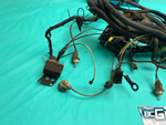 1980 Gbody Monte Turbo V6 Forward Lamp & Engine Bay Wiring Harness OEM GM