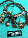 1984 - 1987 Gbody Regal Grand National Rear Lamp Wiring Harness OEM Genuine GM