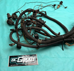 1978-1981 Gbody Malibu Wagon Forward Lamp & Engine Bay Wiring Harness OEM GM