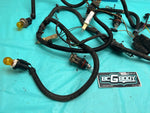 1986-1988 Gbody Monte Carlo LS Forward Lamp Wiring Harness OEM Genuine GM