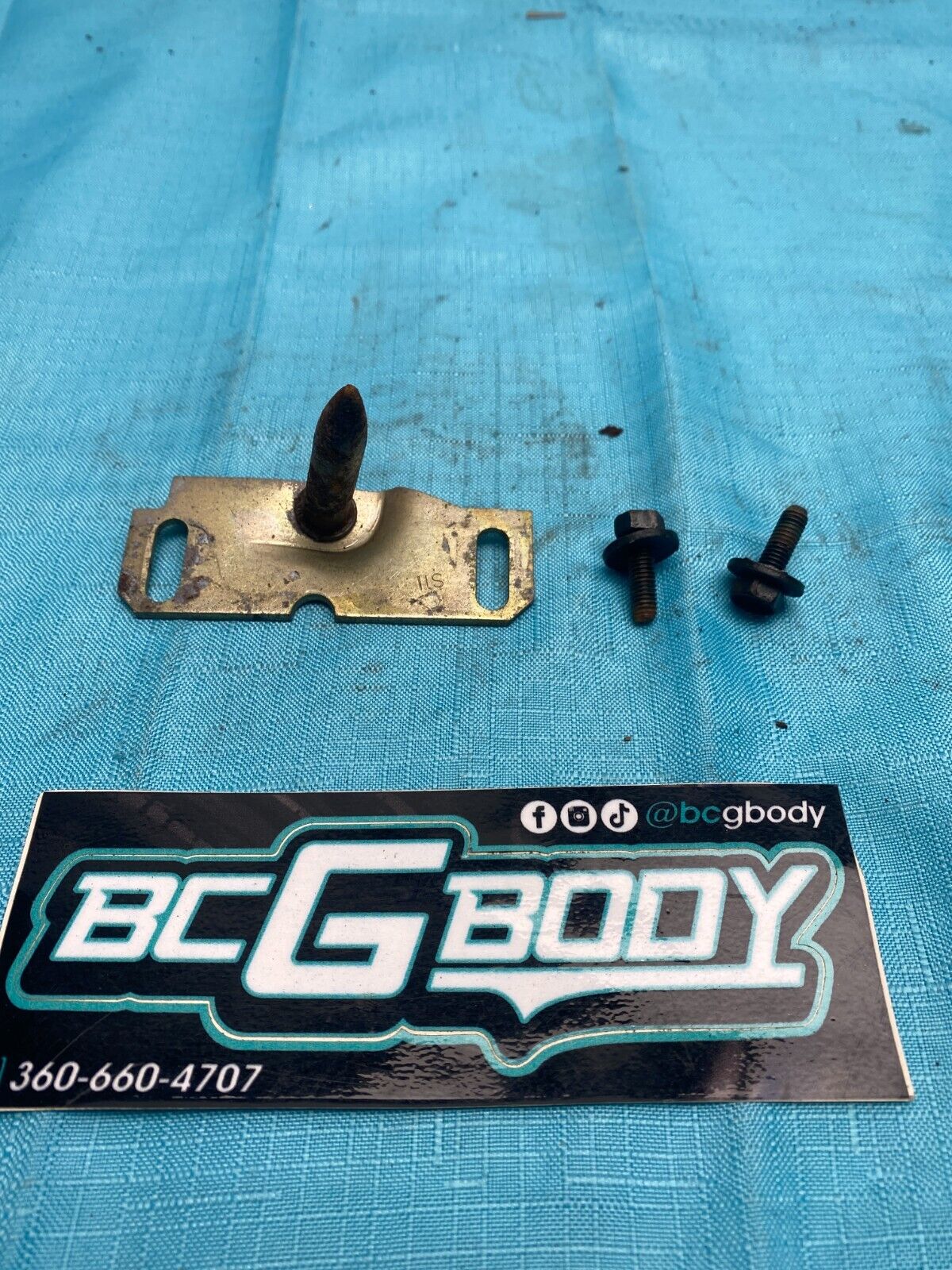 1978-1987 Regal T-Type Manual/Power Door Glass Track Guide Stop Pin RH Right OEM