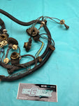 1978 Gbody Chevrolet Monte Carlo Rear Taillight Wiring Harness OEM Genuine GM