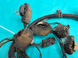 1984-1987 Gbody Turbo Buick Regal Taillight Lamp Wiring Harness OEM Genuine GM