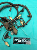 1984 - 1987 Gbody Regal Grand National Rear Lamp Wiring Harness OEM Genuine GM