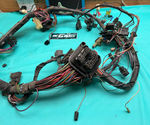 1984 - 1987 Gbody Grand National Turbo Regal Dash Wiring Harness V6 OEM GM