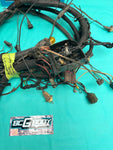 1980 Gbody Monte Turbo V6 Forward Lamp & Engine Bay Wiring Harness OEM GM