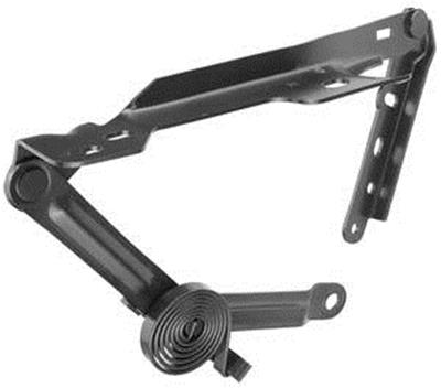 Hood Hinge, 81-88 Monte Carlo