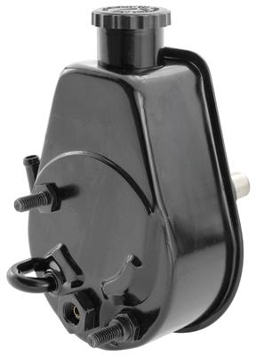 Pump, Power Steering, 80-81 EC/MAL/MC, 3.8L, New